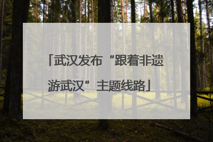 武汉发布“跟着非遗游武汉”主题线路
