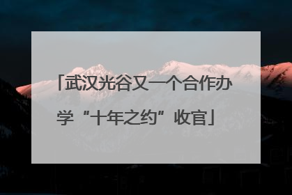 武汉光谷又一个合作办学“十年之约”收官