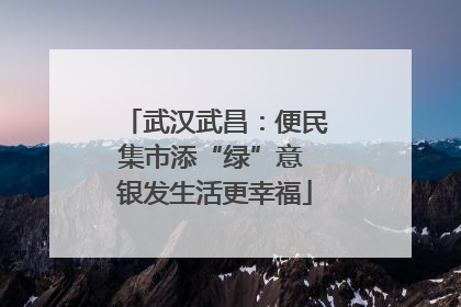武汉武昌：便民集市添“绿”意 银发生活更幸福