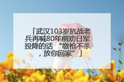 武汉103岁抗战老兵再喊80年前劝日军投降的话 “缴枪不杀，放你回家”
