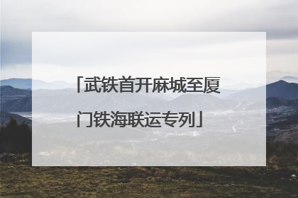 武铁首开麻城至厦门铁海联运专列