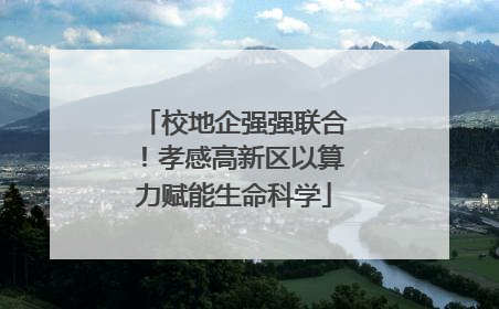 校地企强强联合！孝感高新区以算力赋能生命科学