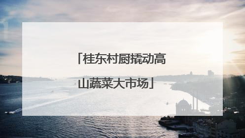 桂东村厨撬动高山蔬菜大市场