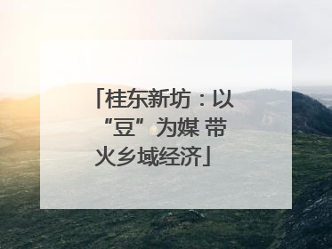 桂东新坊：以“豆”为媒 带火乡域经济