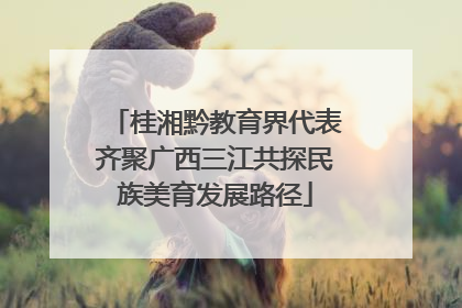 桂湘黔教育界代表齐聚广西三江共探民族美育发展路径