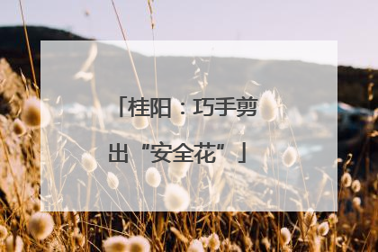 桂阳：巧手剪出“安全花”
