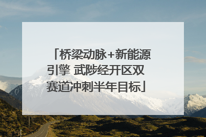 桥梁动脉+新能源引擎 武陟经开区双赛道冲刺半年目标