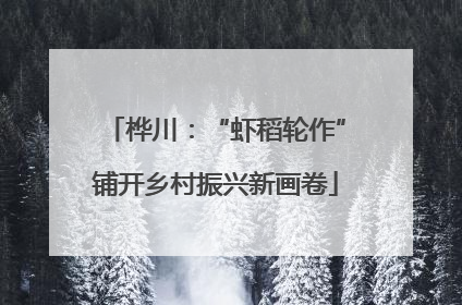 桦川：“虾稻轮作”铺开乡村振兴新画卷
