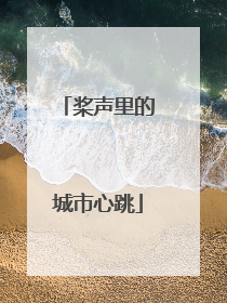 桨声里的城市心跳