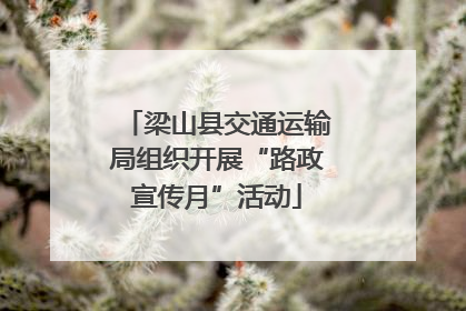 梁山县交通运输局组织开展“路政宣传月”活动