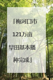 梅河口市121万亩旱田基本播种完成