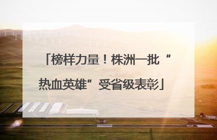 榜样力量！株洲一批“热血英雄”受省级表彰