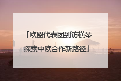 欧盟代表团到访横琴 探索中欧合作新路径