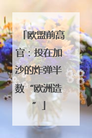 欧盟前高官：投在加沙的炸弹半数“欧洲造”