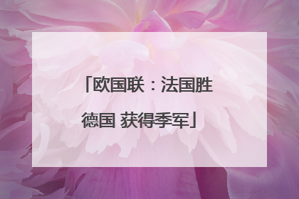 欧国联：法国胜德国 获得季军