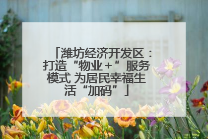潍坊经济开发区：打造“物业＋”服务模式 为居民幸福生活“加码”
