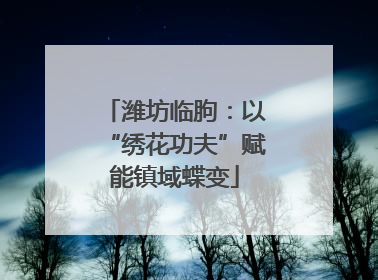潍坊临朐：以“绣花功夫”赋能镇域蝶变