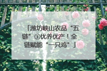 潍坊峡山农品“五链”③优养优产！全链赋能“一只鸡”