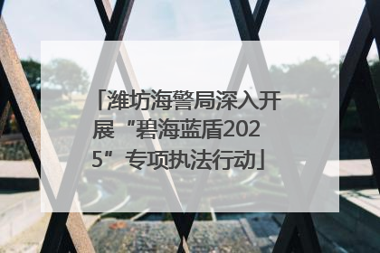 潍坊海警局深入开展“碧海蓝盾2025”专项执法行动