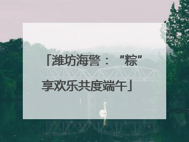 潍坊海警：“粽”享欢乐共度端午