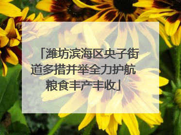 潍坊滨海区央子街道多措并举全力护航粮食丰产丰收