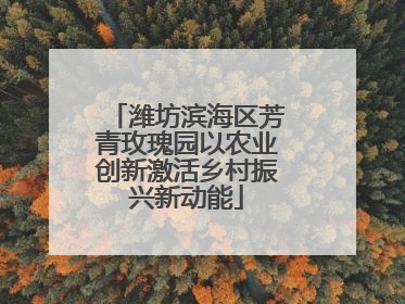 潍坊滨海区芳青玫瑰园以农业创新激活乡村振兴新动能