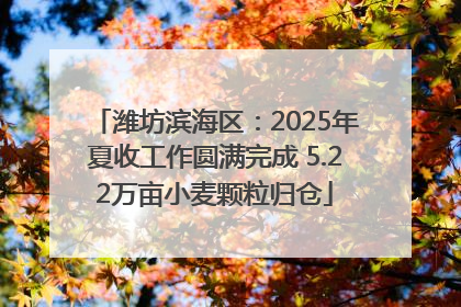 潍坊滨海区：2025年夏收工作圆满完成 5.22万亩小麦颗粒归仓