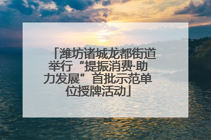 潍坊诸城龙都街道举行“提振消费·助力发展”首批示范单位授牌活动
