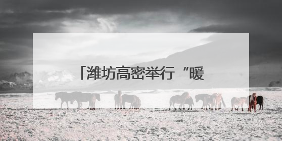 潍坊高密举行“暖阳”困境未成年人“六一”研学活动