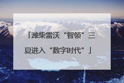 潍柴雷沃“智领”三夏进入“数字时代”