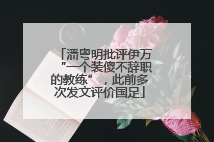 潘粤明批评伊万“一个装傻不辞职的教练”，此前多次发文评价国足