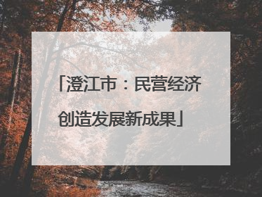 澄江市：民营经济创造发展新成果