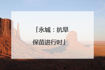 永城：抗旱保苗进行时