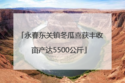 永春东关镇冬瓜喜获丰收 亩产达5500公斤