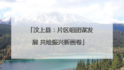 汶上县：片区组团谋发展 共绘振兴新画卷