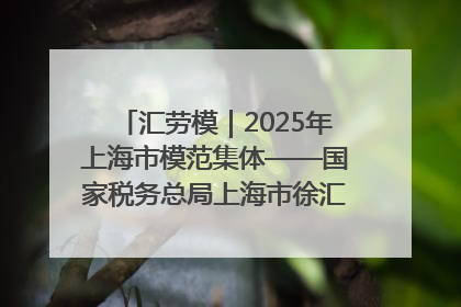 汇劳模｜2025年上海市模范集体——国家税务总局上海市徐汇区税务局第一税务所