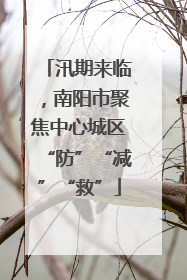 汛期来临，南阳市聚焦中心城区“防”“减”“救”
