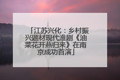 江苏兴化：乡村振兴题材现代淮剧《油菜花开燕归来》在南京成功首演