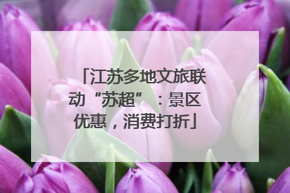 江苏多地文旅联动“苏超”：景区优惠，消费打折