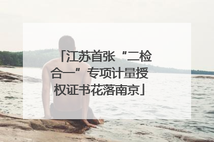 江苏首张“二检合一”专项计量授权证书花落南京