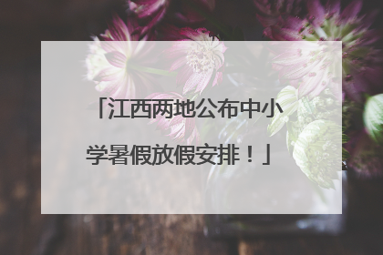 江西两地公布中小学暑假放假安排！
