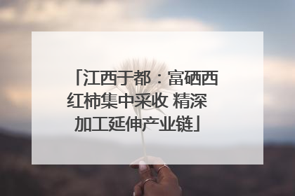 江西于都：富硒西红柿集中采收 精深加工延伸产业链
