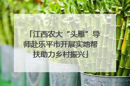 江西农大“头雁”导师赴乐平市开展实地帮扶助力乡村振兴