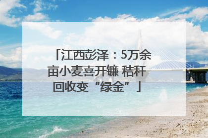 江西彭泽：5万余亩小麦喜开镰 秸秆回收变“绿金”