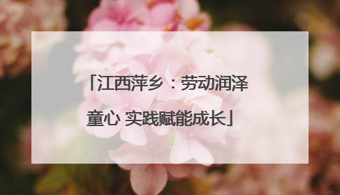 江西萍乡：劳动润泽童心 实践赋能成长