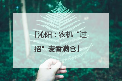 沁阳：农机“过招”麦香满仓