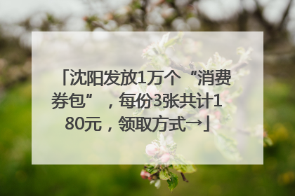 沈阳发放1万个“消费券包”，每份3张共计180元，领取方式→