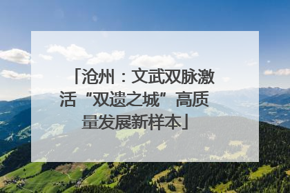 沧州：文武双脉激活“双遗之城”高质量发展新样本