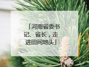 河南省委书记、省长，走进田间地头