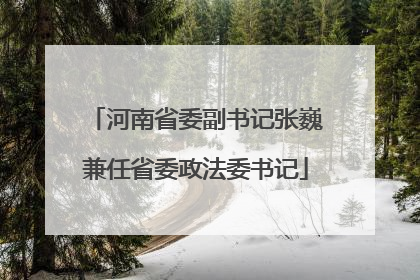 河南省委副书记张巍兼任省委政法委书记